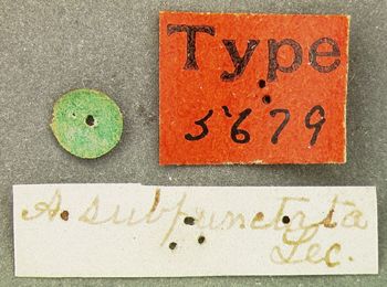 Media type: image;   Entomology 5679 Aspect: labels